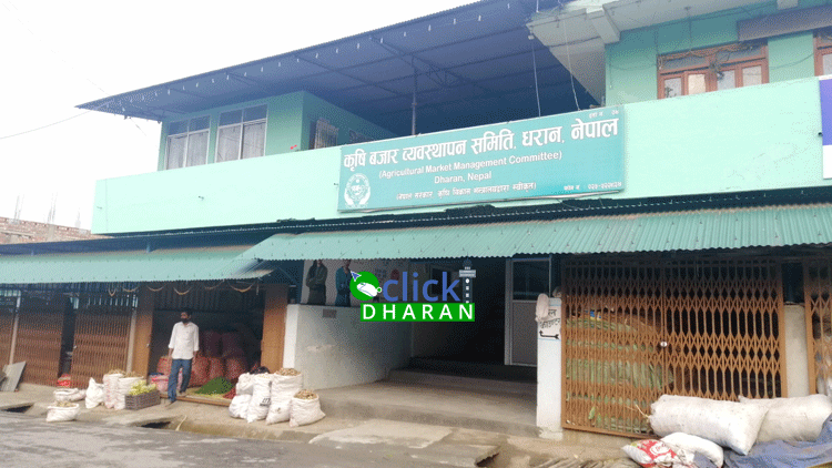 krisi-bajar-dharan