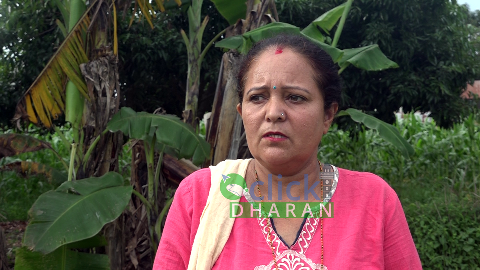 krishi-women-clickdharan (1)