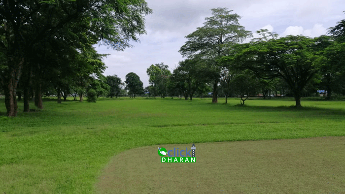 golf-course