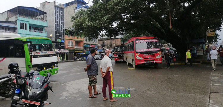 bus2