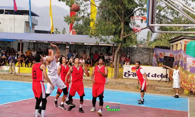 basket2