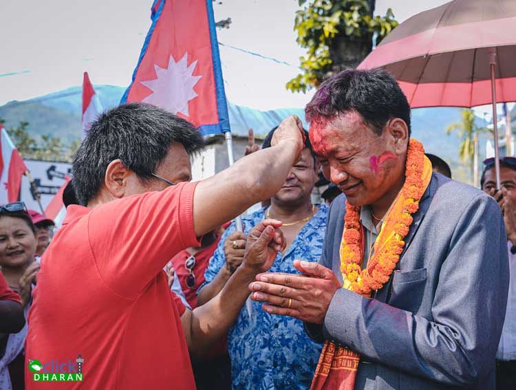 election-dhrn2