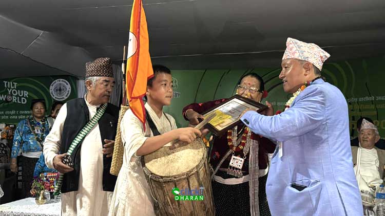 sakela6