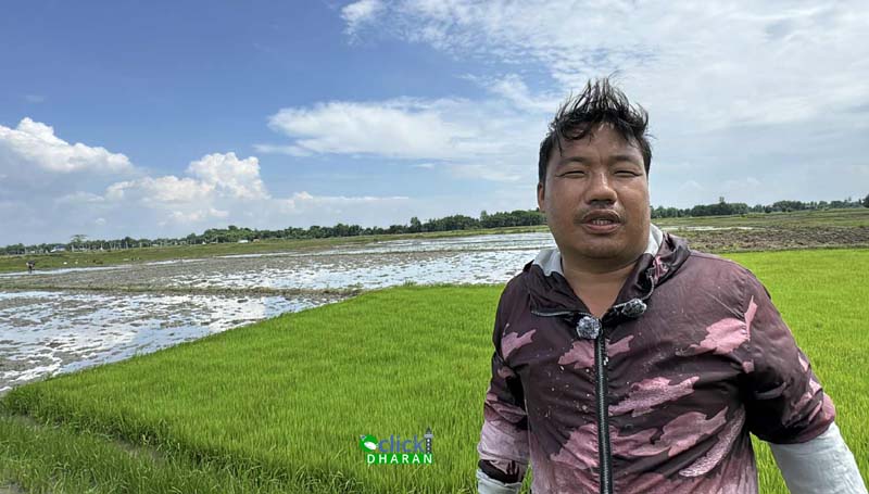 santosh limbu