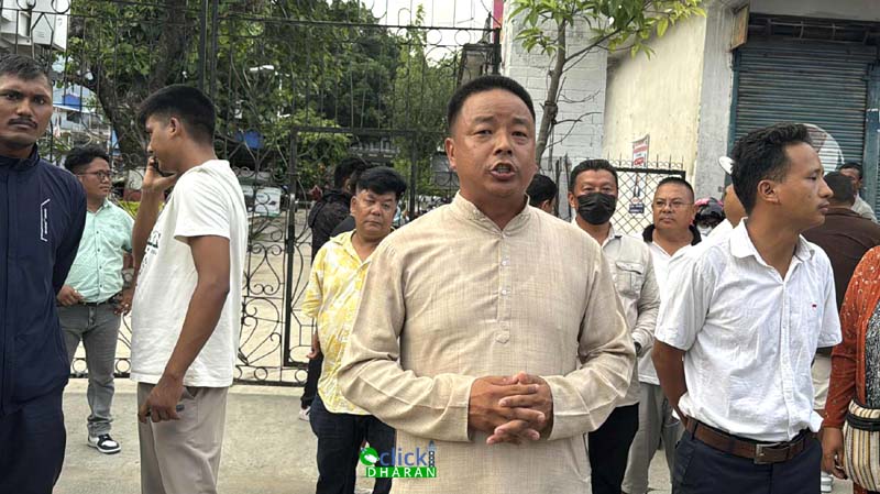 udav limbu