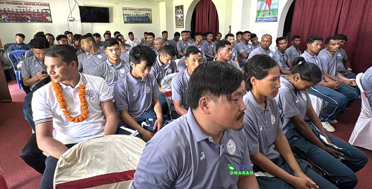 Anfa1