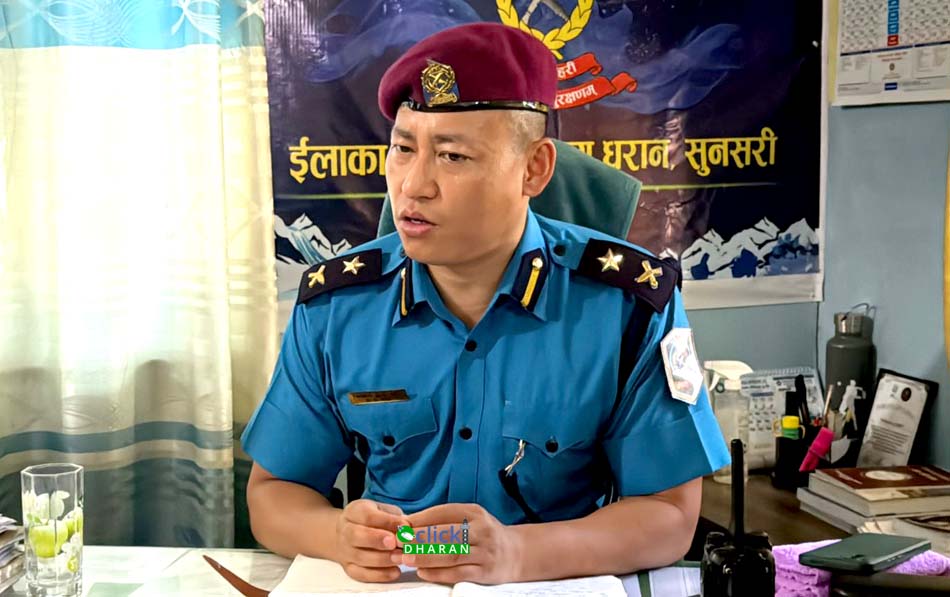 dsp bhisan copy