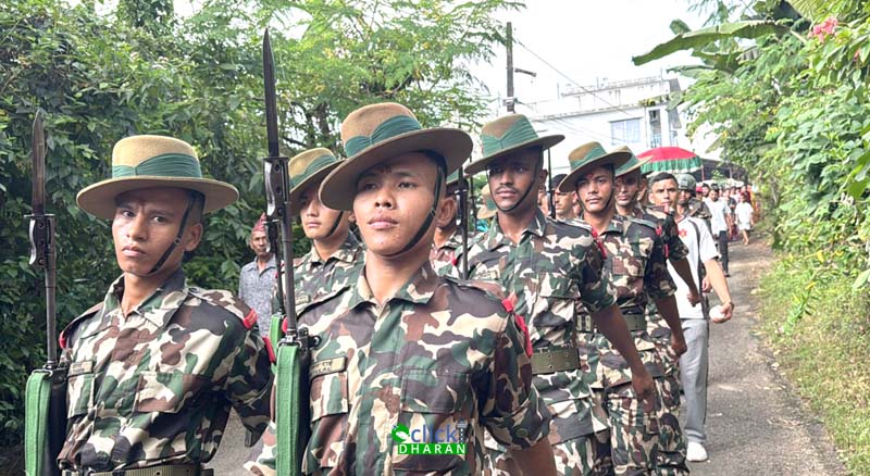 fulpati14 copy