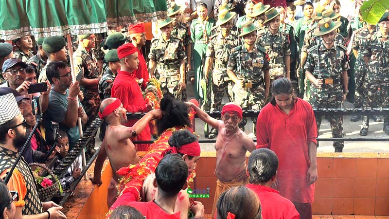 fulpati17 copy